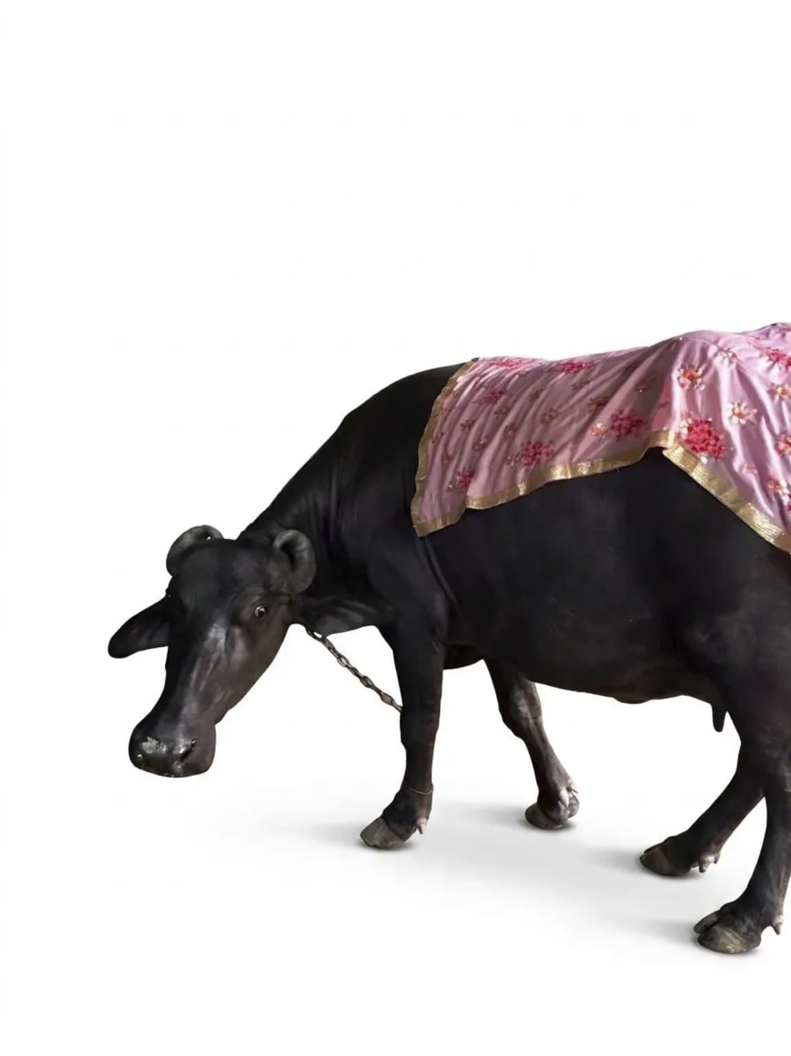 “Where Is This From?” (And the Dead Buffalos in Your Closet)